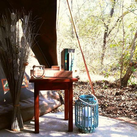 Beyond The Boma Boutique Guesthouse Marloth Park Buitenkant foto