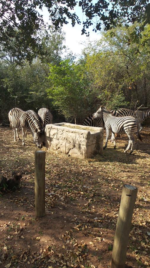 Beyond The Boma Boutique Guesthouse Marloth Park Buitenkant foto
