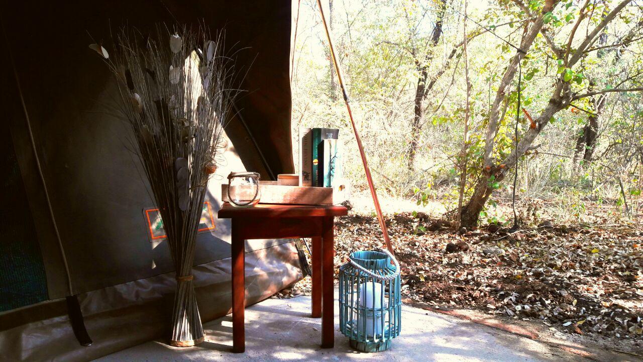 Beyond The Boma Boutique Guesthouse Marloth Park Buitenkant foto