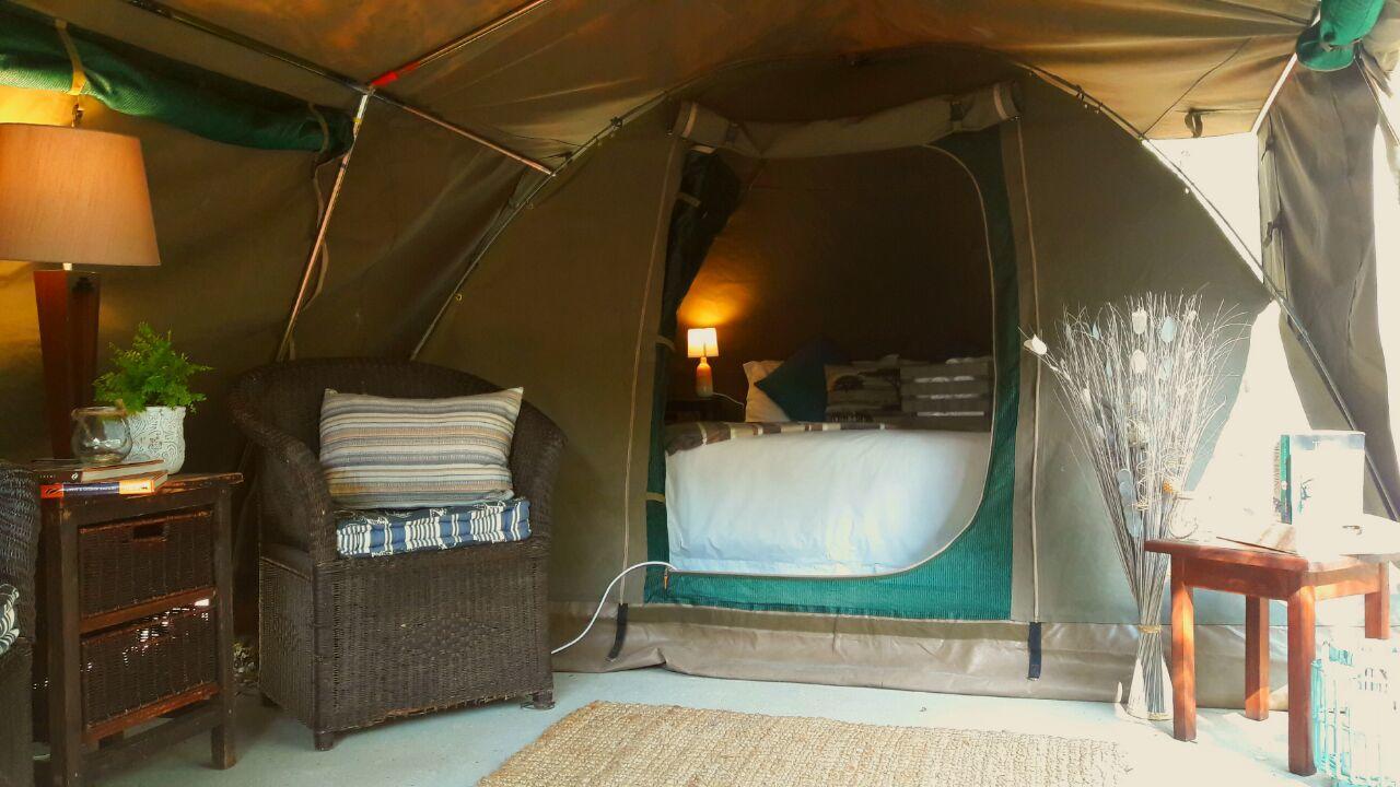 Beyond The Boma Boutique Guesthouse Marloth Park Buitenkant foto
