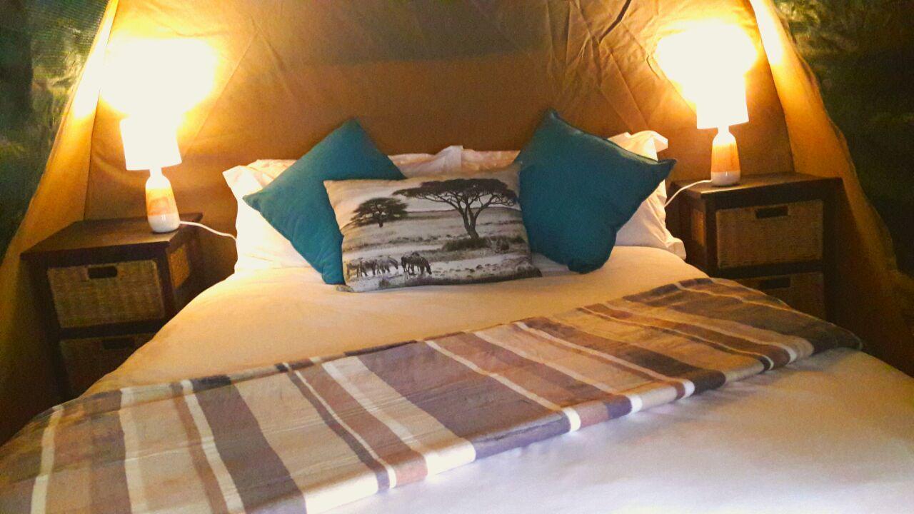 Beyond The Boma Boutique Guesthouse Marloth Park Buitenkant foto